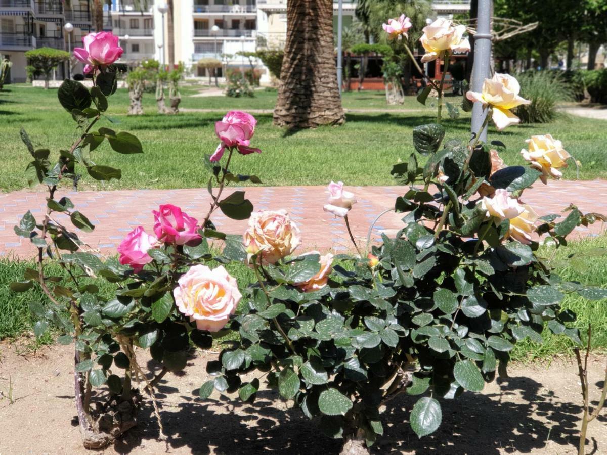 Apartamento Kristina Daire Salou Dış mekan fotoğraf